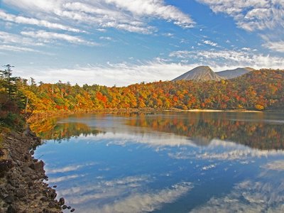 🏞️ 육관음 연못(롯칸논미이케) 이미지 2